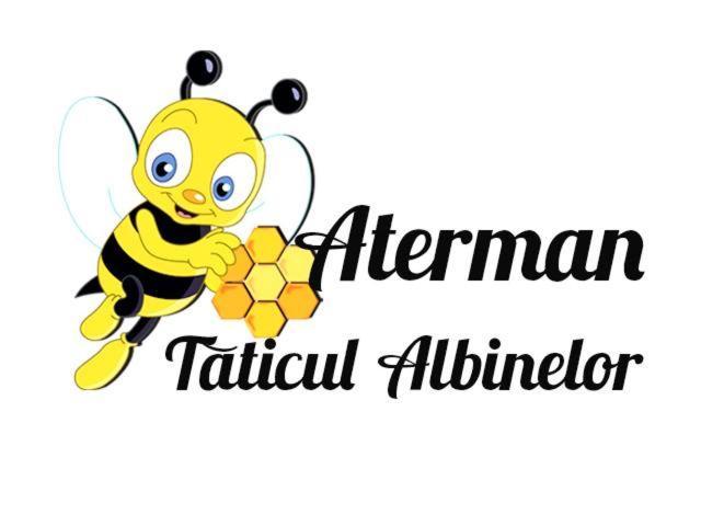Appartamento Eva'S Little House - Acasa La Taticul Albinelor Sinca Veche Esterno foto